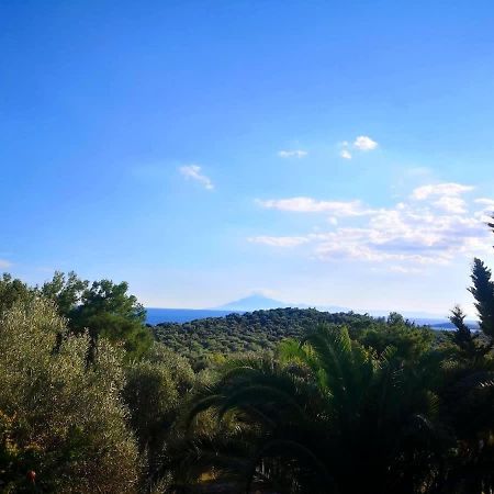 Apartamento Thasos Seaside Serenity - Seaview & Garden Nests Astris Exterior foto