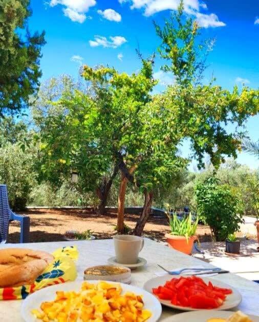 Apartamento Thasos Seaside Serenity - Seaview & Garden Nests Astris Exterior foto