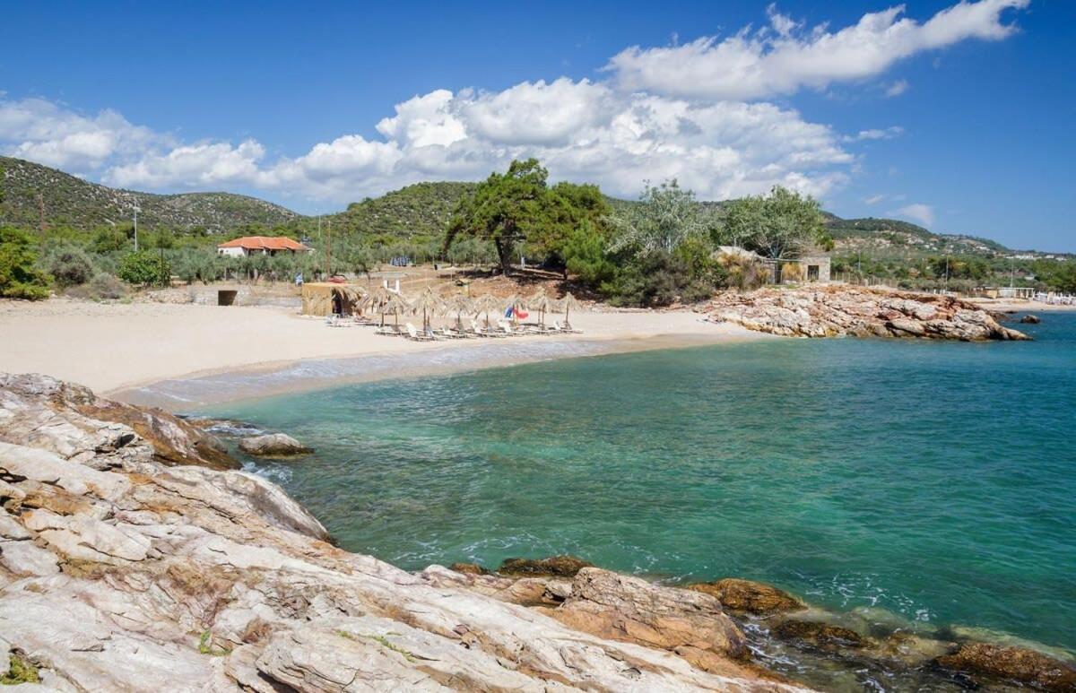 Apartamento Thasos Seaside Serenity - Seaview & Garden Nests Astris Exterior foto