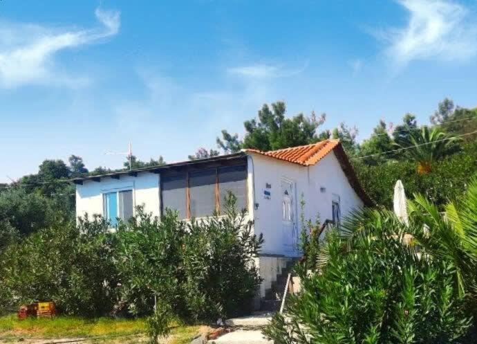 Apartamento Thasos Seaside Serenity - Seaview & Garden Nests Astris Exterior foto