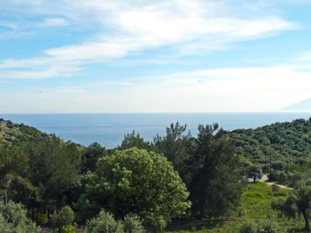Apartamento Thasos Seaside Serenity - Seaview & Garden Nests Astris Exterior foto